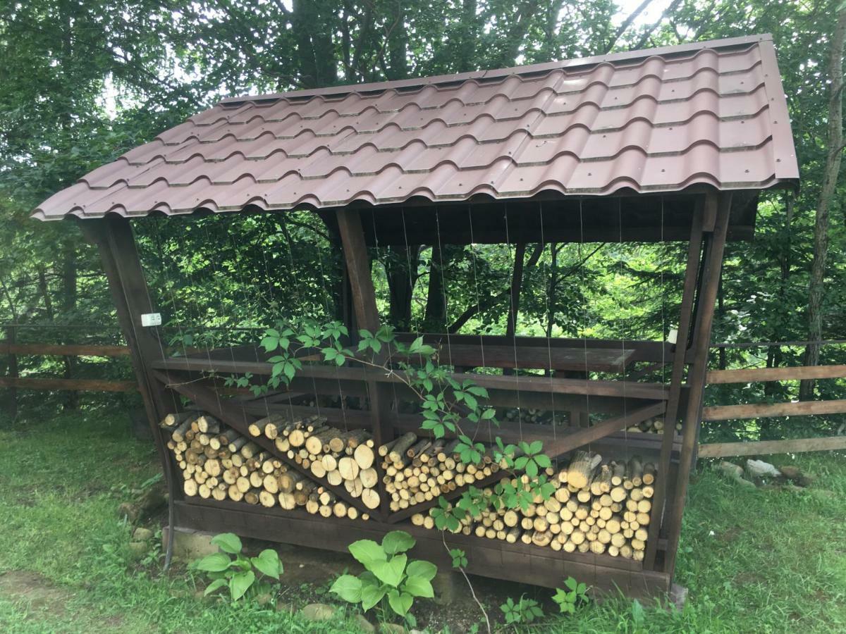 Міні-готель Серпанок Микуличин Екстер'єр фото